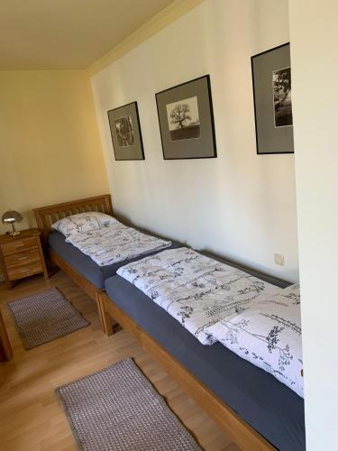 Ferienwohnung-in-Stadtmitte - image 5