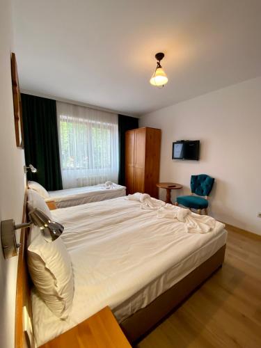 Edelweiss Central Hotel – Bansko, NC