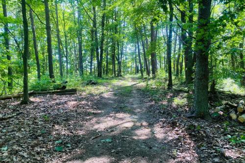 Hocking Hills Woodland Lodge on 14 Acres! - main image