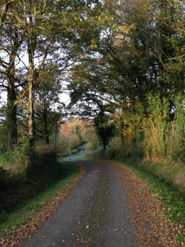 Aurora de la Breuille gîte à louer Saint-Maurice-des-Lions