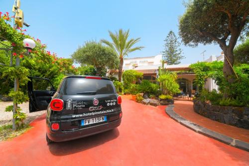 Hotel Pineta - image 13