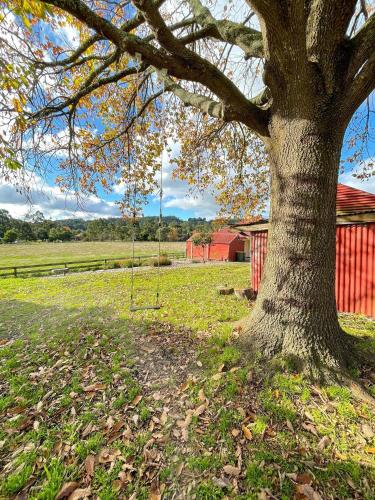 THE GELLI HOUSE-A RESTORED OLD FARM HOUSE in Gellibrand