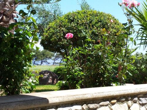 Blue Nest Hotel - image 11