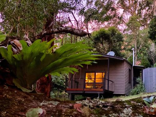 Whispering Valley Cottage Retreat Sunshine Coast