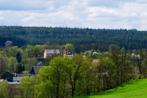 Pferdeparadies Wallengrün