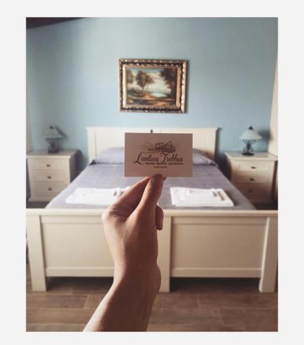 L' Antica Trebbia - Rooms