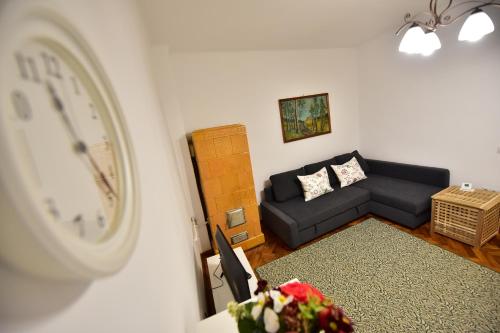 FLH - House Angelique, Sibiu (fotografie 6)