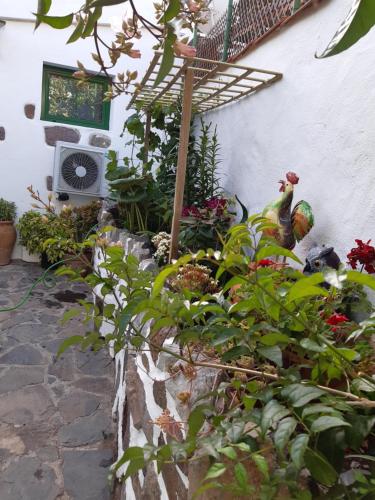 Casa Santana Segura