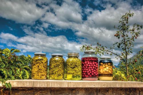 Glamping Kranjc - image 6