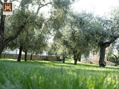 马尼菲卡特酒店