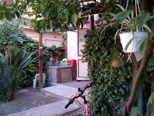 Casa Orofino gîte à louer Riesi