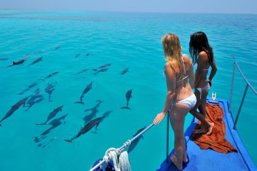 Attractions, Triton Prestige Seaview and Spa in Maldive Islands