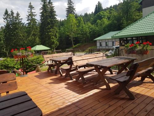 Biały Potok - Accommodation - Zieleniec