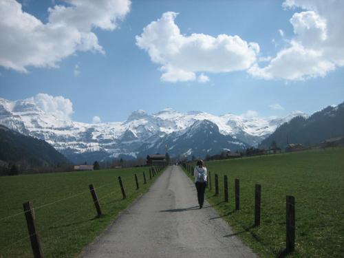 Ferienwohnung Lenk