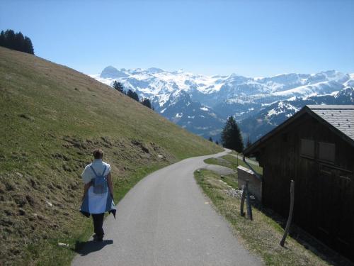 Ferienwohnung Lenk