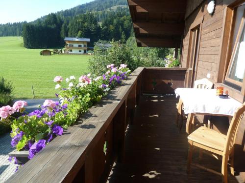 Balkons/terase, Ferienwohnungen Schneider in Kirchdorf in Tirol