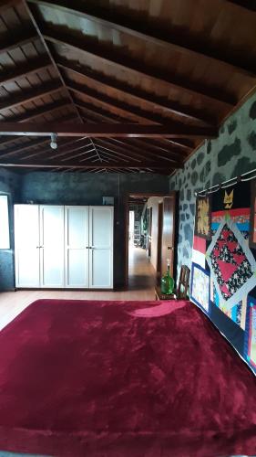 Adega do Gato in ริเบริงยา