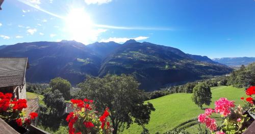 Stuberhof 2