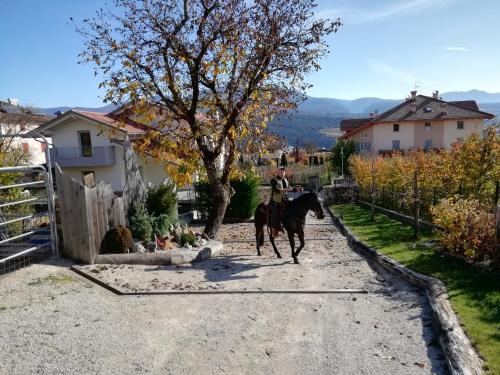 Horse House