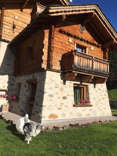 Chrys chalet - Apartment - Valfurva