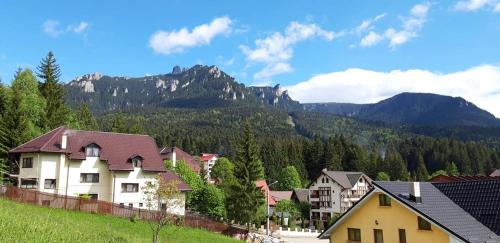 Complex de Pensiuni si Casute la Munte- Durau