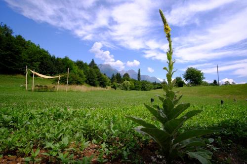 That's life Glamping - Dolomite Experience