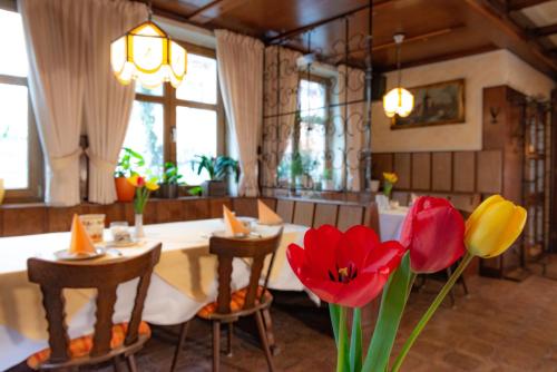 Goldener Schwan Hotel Garni 2