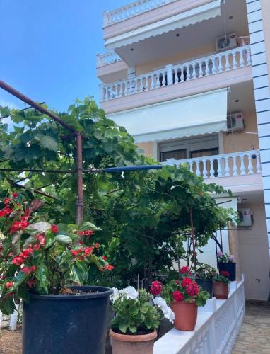 Himara Apartments photo