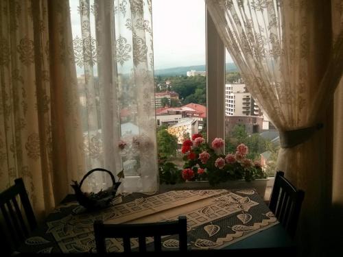 Sunny apartment in the city Center in Truskavets