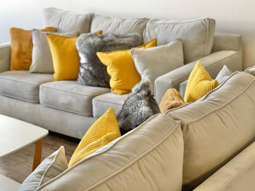 Amazing Venice Comfortable Two Bedroom Apartment
