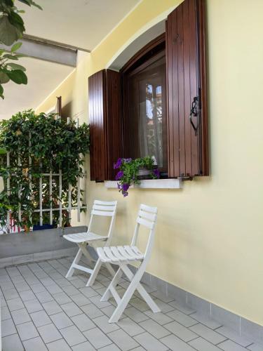 Ortensia - Apartment - San Donà di Piave