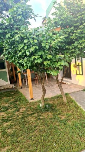 Lamprini's Deluxe Studios Lamprini's Deluxe Studios