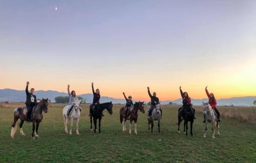 House of Horses Shtepia e Kuajve