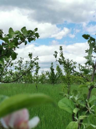 Apkārtne, Ferienwohnung in der Ciderwirtschaft in Burg Stargard