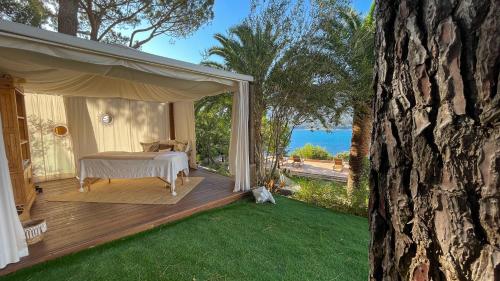 Miramar Corsica photo 16