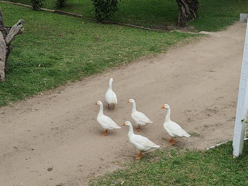 Nature's Cottage in Hibberdene