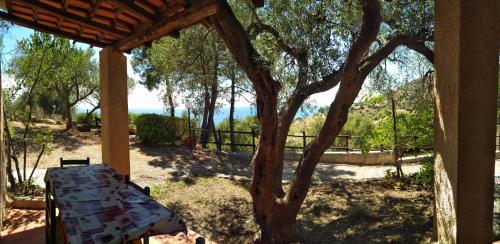 Caleo Alto gîte à louer Cannicchio