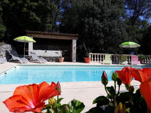 Le Mas des Hibiscus chambre d'hôte Trans-en-Provence