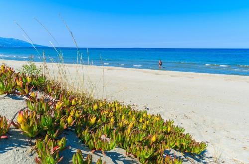 Maison à 20 pas de La Plage chambre d'hôte Cervione