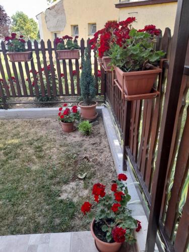 Thermál Apartman Tiszafüred - image 10
