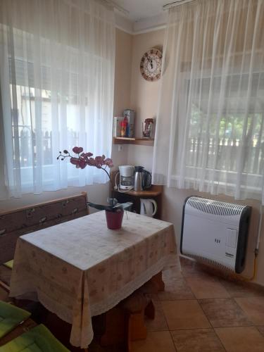 Thermál Apartman Tiszafüred - image 11