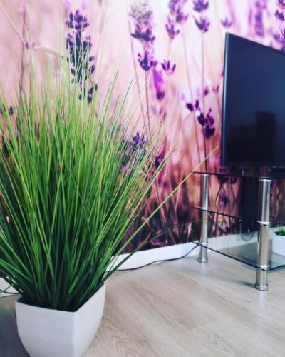 Ferienwohnung Lavanda 5