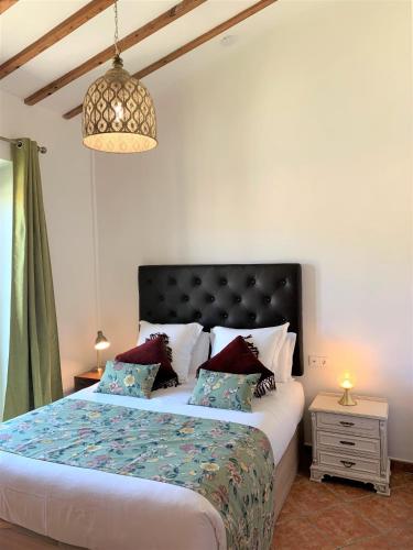Casa Bougainvillea - image 10
