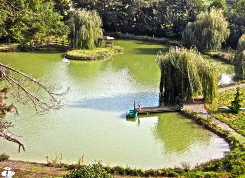 Grande villa du Château gîte à louer La Roche-Posay
