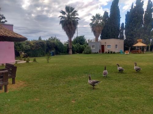 Surrounding environment, Complejo Los Aromos, San Juan, AR near Domingo Faustino Sarmiento Airport