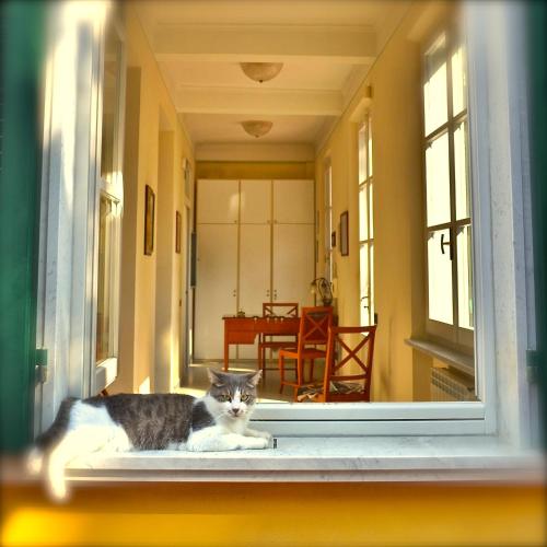 Hotel Villa Fiorisella – Poveromo, WI