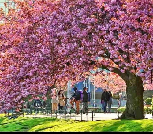 Lille Øvregate Lille Øvregate