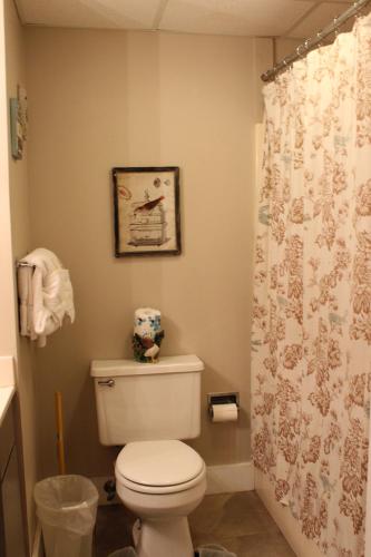 Gatlinburg Chateau 210 - image 14