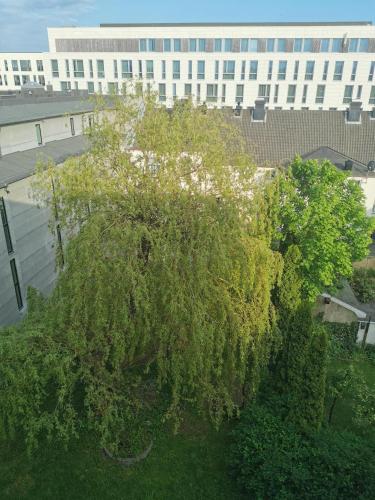 Kongensgate, koselig liten leilighet, 5 min unna sentrum, Kristiansand (foto 5)