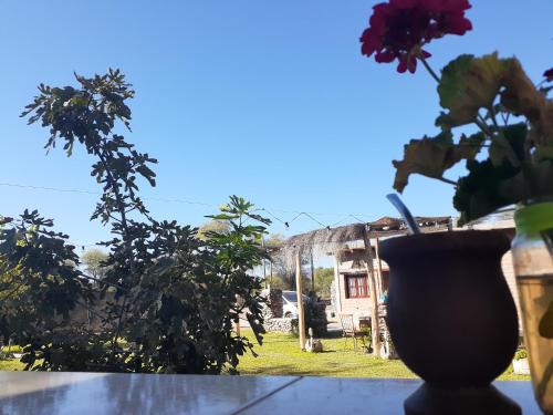 Hostal Sisabel in 蒂諾加斯塔